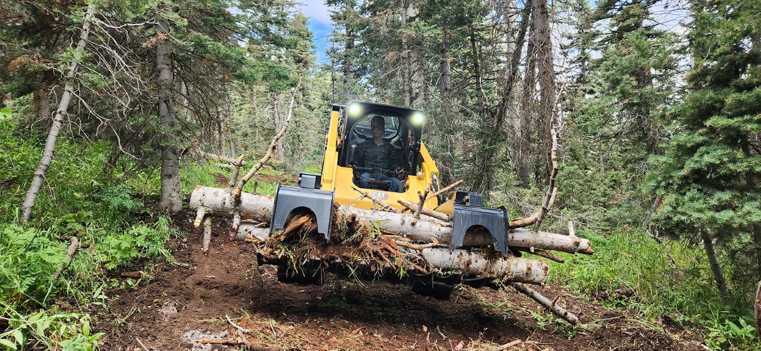 CAT Skid Steer with Grapple Bucket